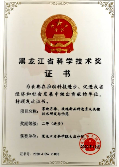图片1_副本.png