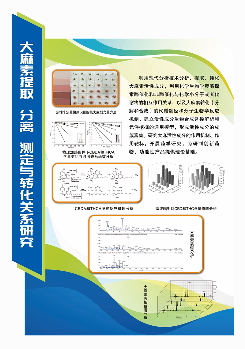 大麻素提取、分离、测定与转化关系研究_副本.jpg