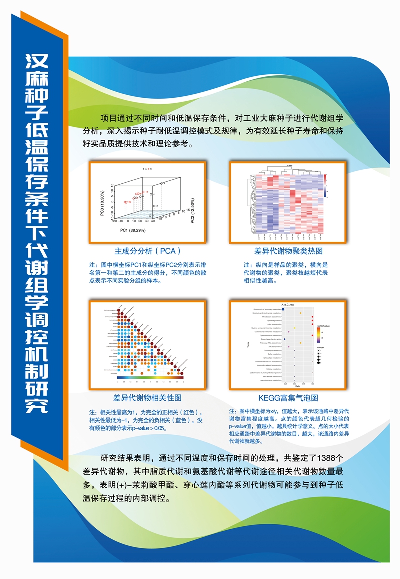 汉麻种子低温保存条件下代谢组学调控机制研究_副本.jpg