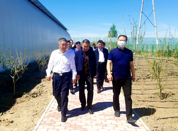 /uploads/image/2024/05/11/微信图片_20240511125704_副本_副本.jpg 微信图片_20240511125704_副本_副本.jpg