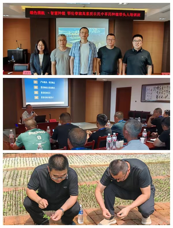 /uploads/image/2024/06/21/微信图片_20240621183403.jpg 微信图片_20240621183403.jpg