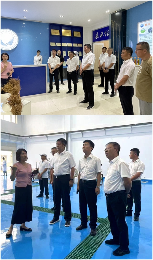 /uploads/image/2024/08/28/光影魔术手拼图.jpg 光影魔术手拼图.jpg