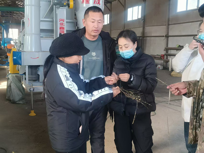 /uploads/image/2024/10/30/lQDPD3DtR8g5bMXNBP_NBqqwQoLFswKQCaMHBdieq6ITAA_1706_1279_副本.jpg lQDPD3DtR8g5bMXNBP_NBqqwQoLFswKQCaMHBdieq6ITAA_1706_1279_副本.jpg