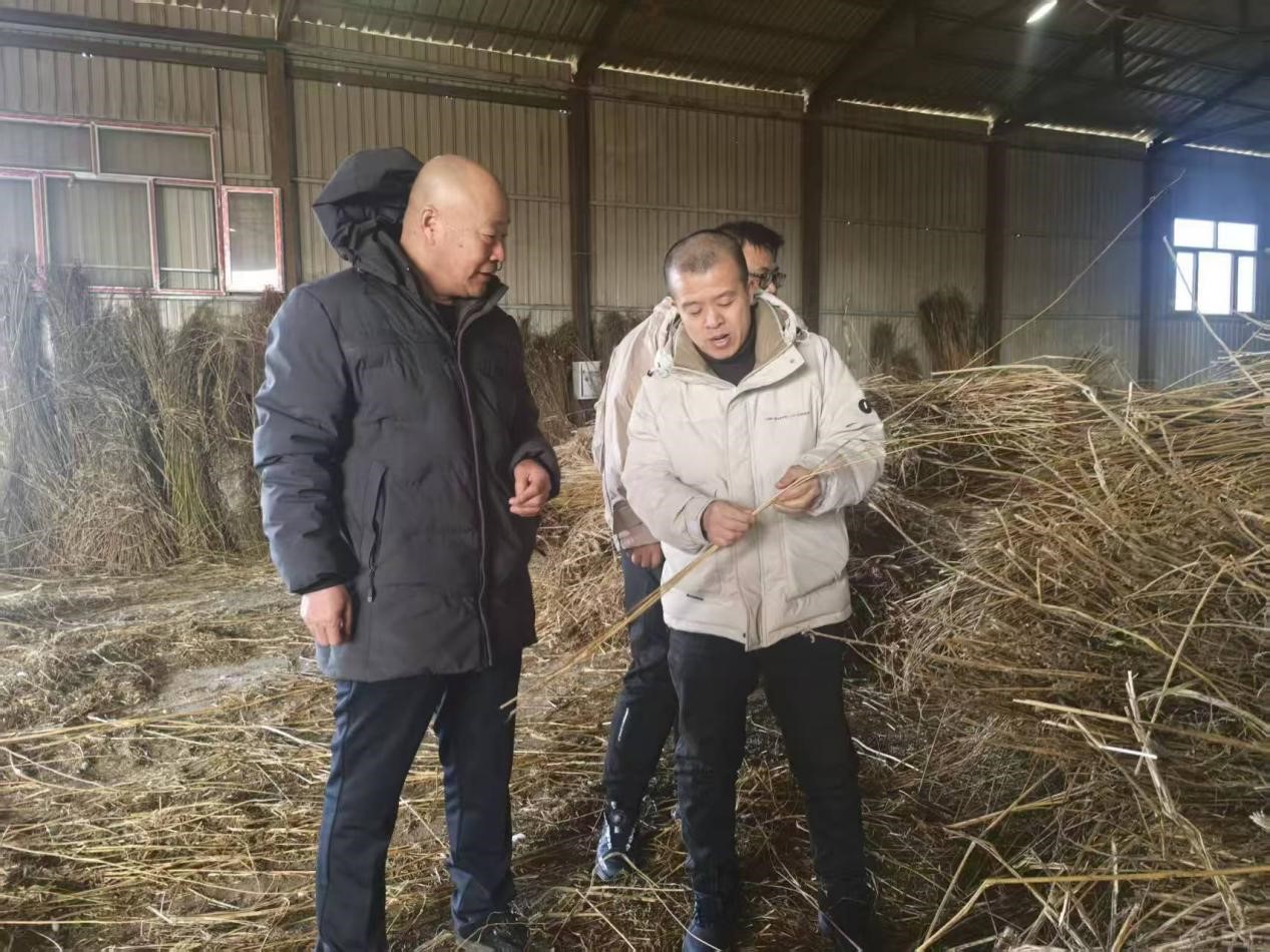 /uploads/image/2025/03/26/2.jpg 2.jpg